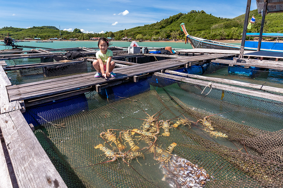 Krabi Thailand