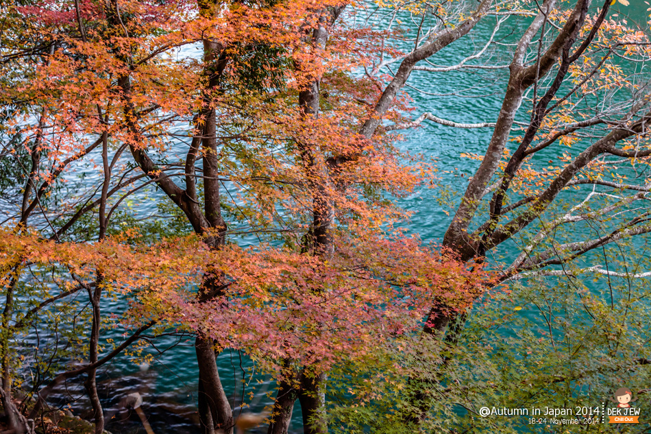 Autumn in Japan 2014