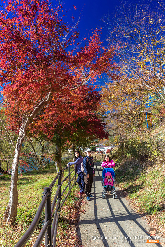 Autumn in Japan 2014